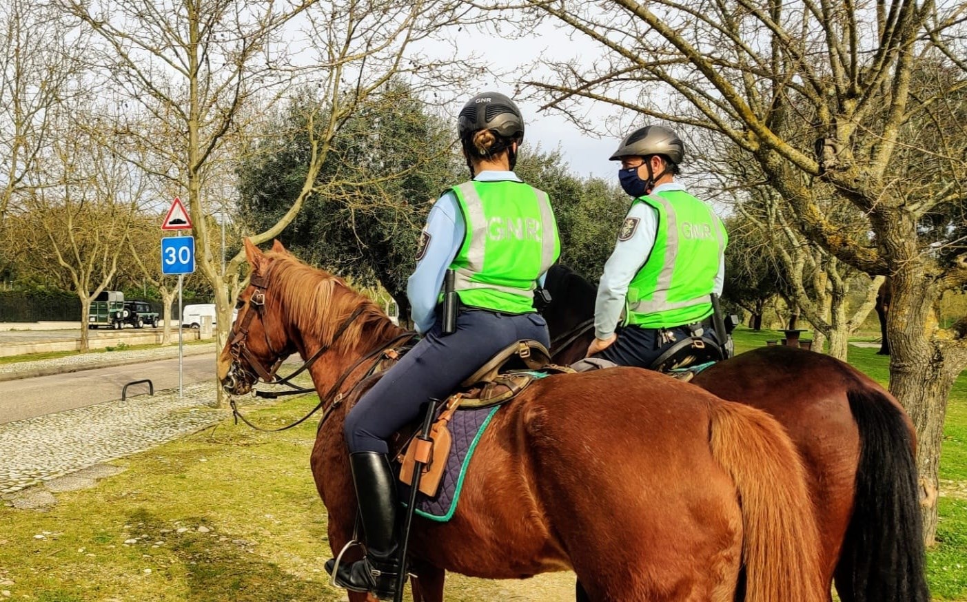 Balanço - Operação Campo Seguro 2025 - Apreensão de cerca de 9 toneladas de produtos agrícolas