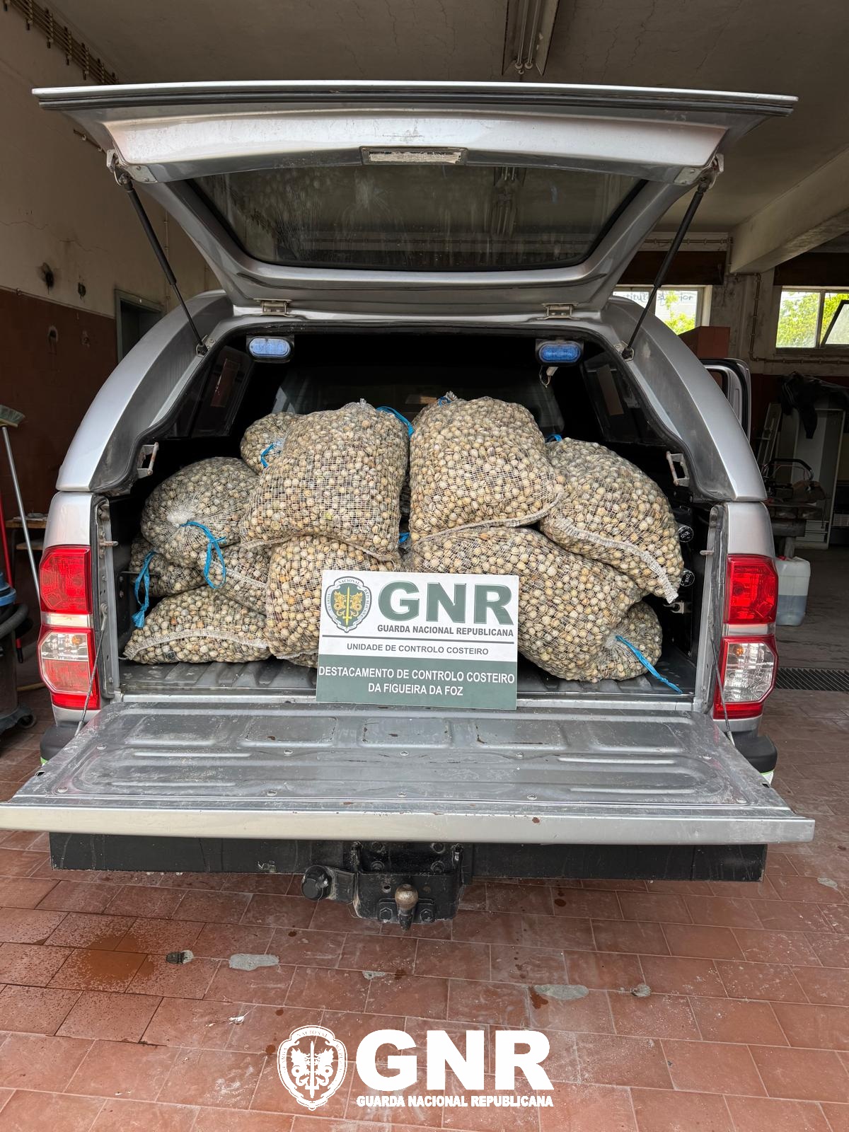 Estarreja – Apreendidos 490 quilosde berbigão vulgar