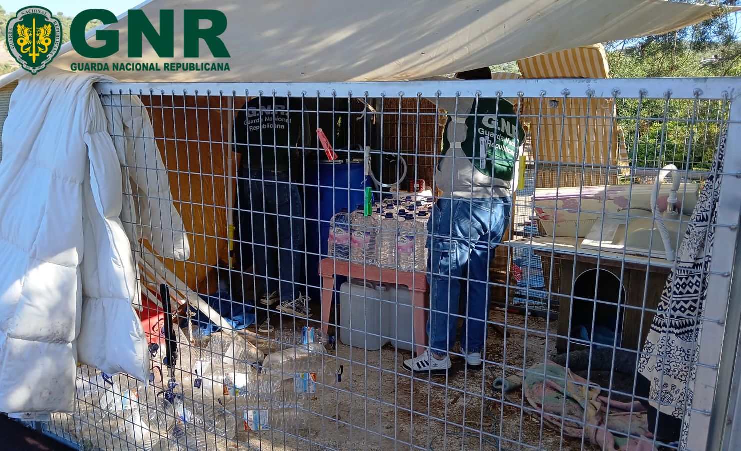 Foto de Loulé – GNR apreende mais de 800 litros de aguardente de medronho ilegal
