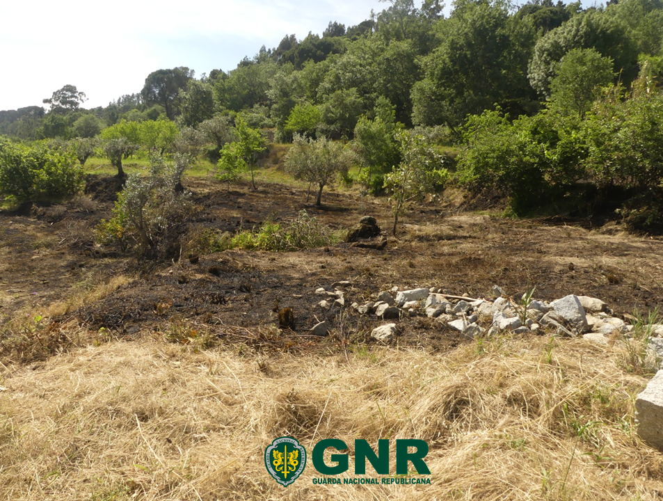 Fornos de Algodres – Detida por incêndio florestal
