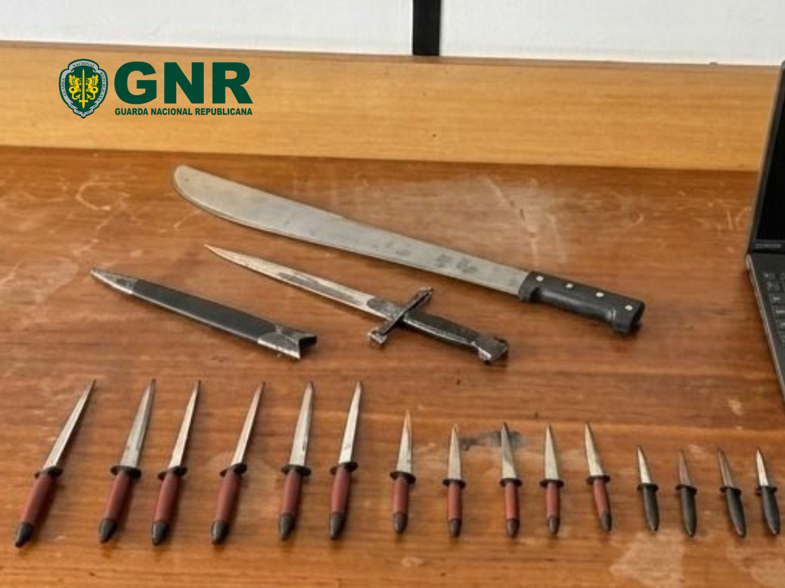 Santa Maria da Feira – Detido por posse de armas proibidas