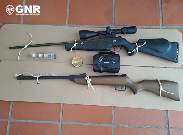 Nisa – Detido por posse de arma proibida