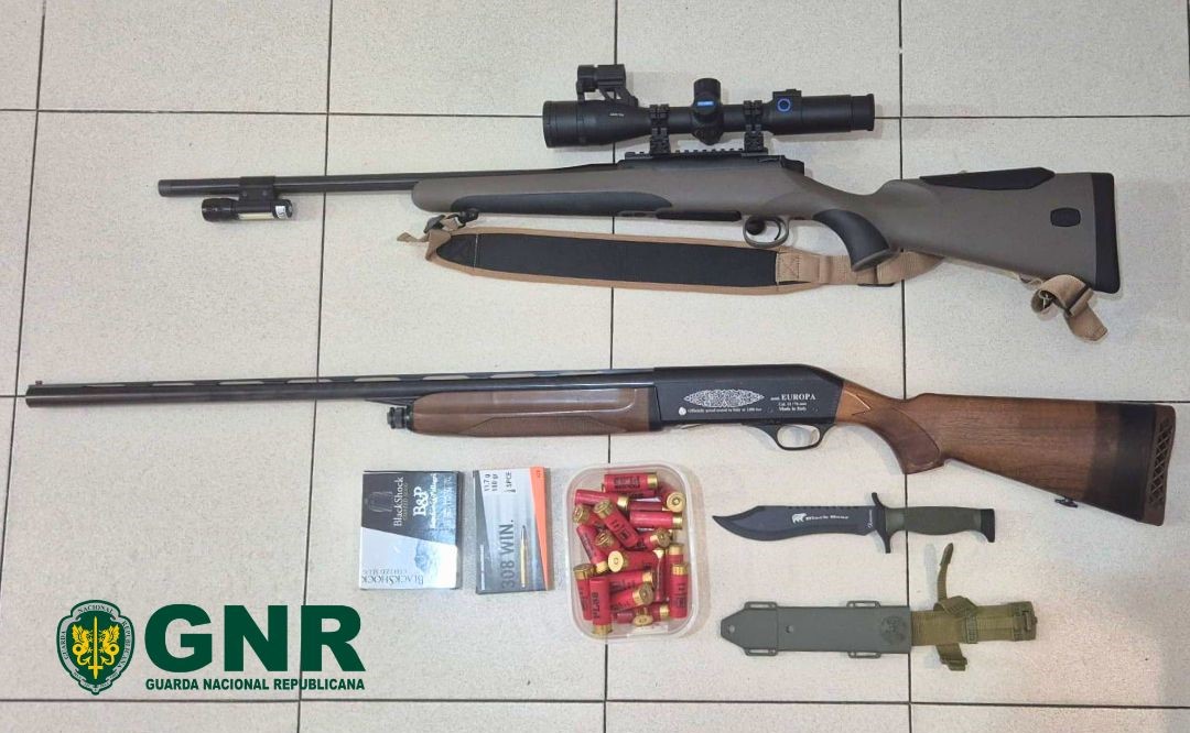 Palmela – Apreensão de armas e munições no âmbito de violência doméstica

