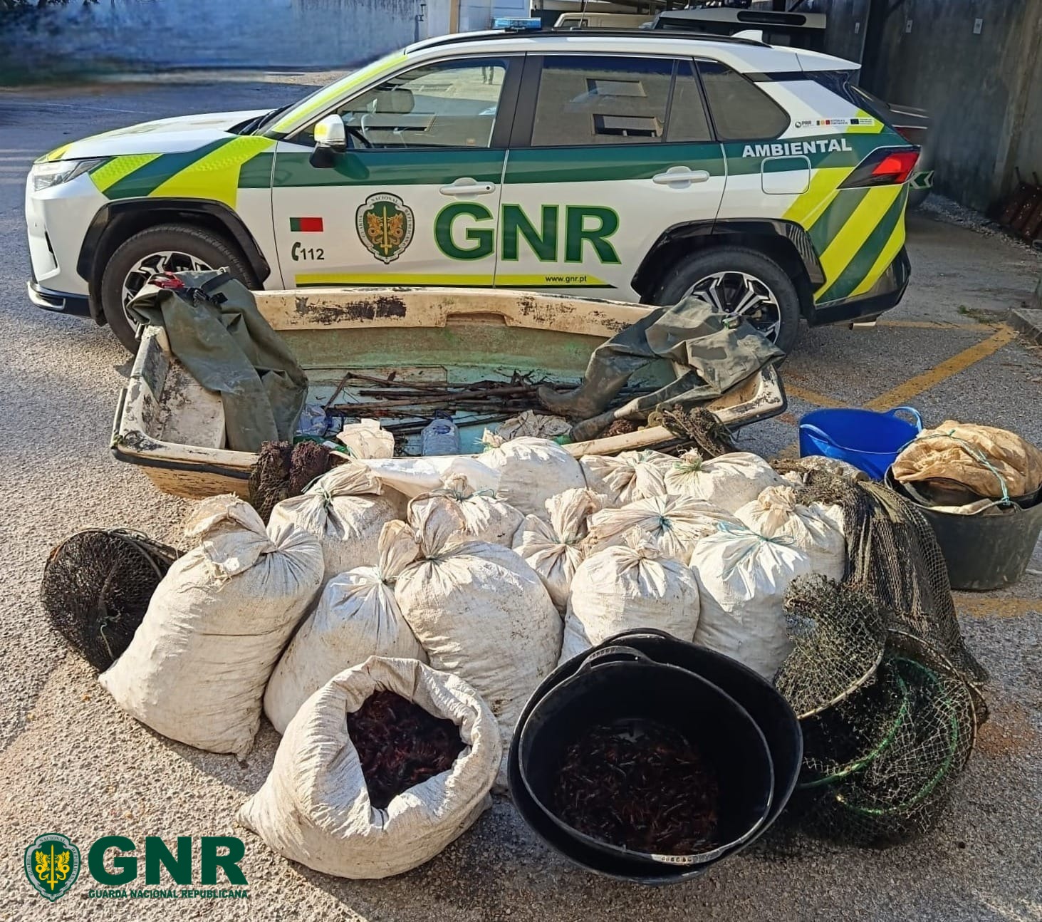 Golegã – Detido por posse de arma proibida em pesca ilegal