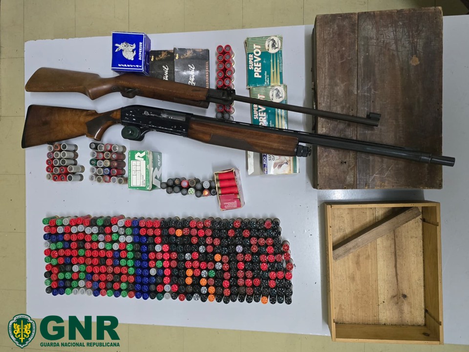 Vieira do Minho – Apreensão de armas por violência doméstica