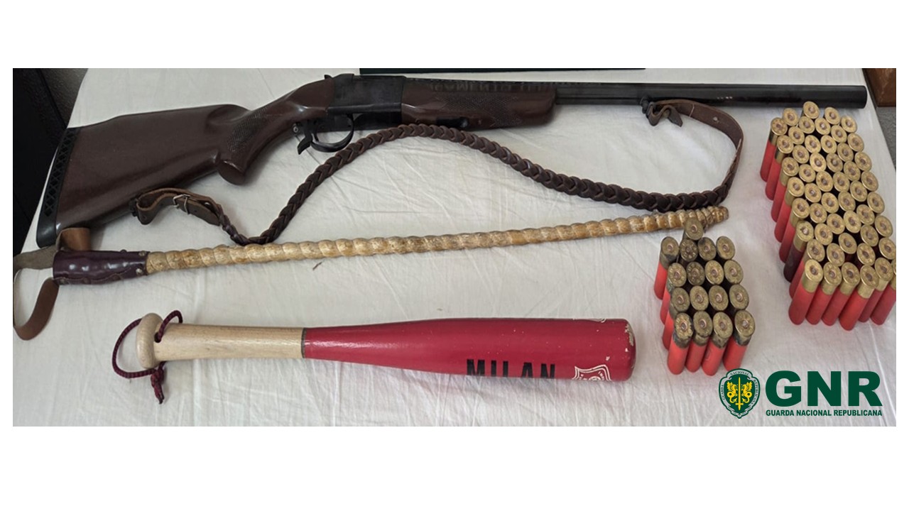 Terras de Bouro – Apreensão de armas por violência doméstica