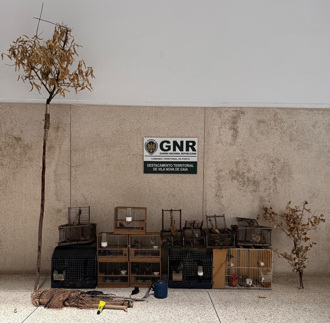 Vila Nova de Gaia – Detido por crime de dano contra a natureza