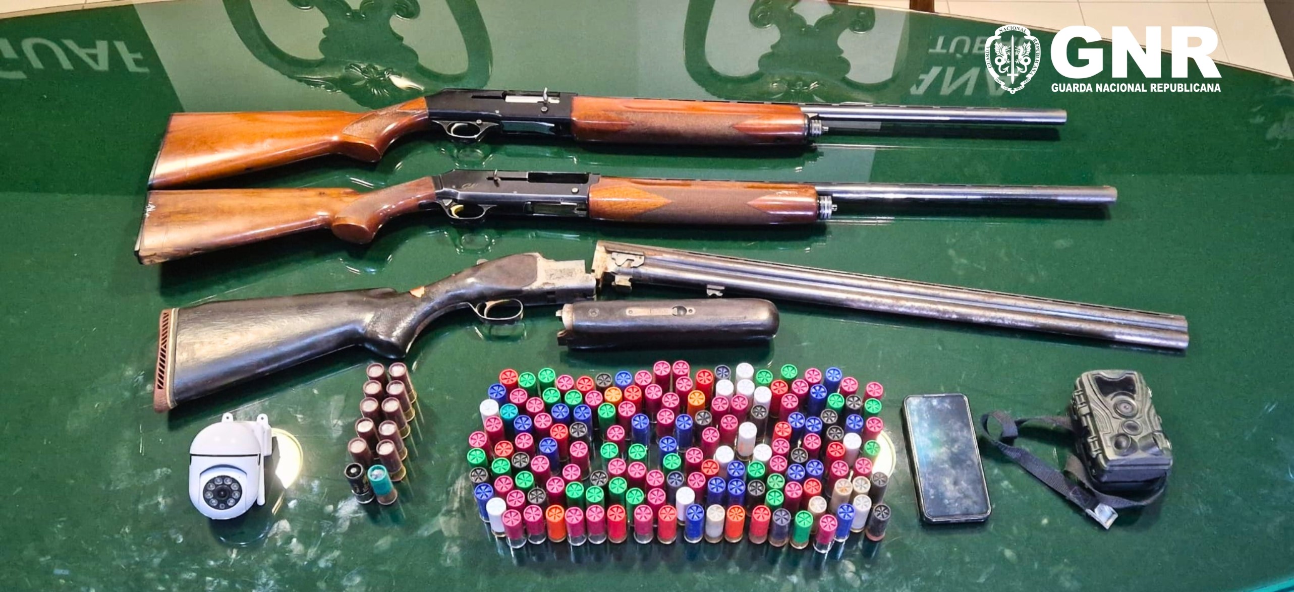 Palmela – Detido e apreensão de armas por violência doméstica