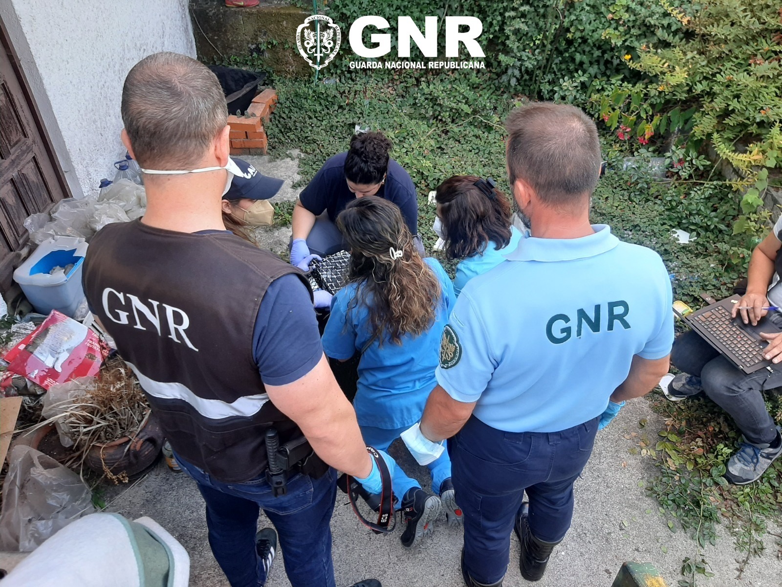 Vila Nova de Gaia - Crime de Morte e maus tratos a animais de companhia