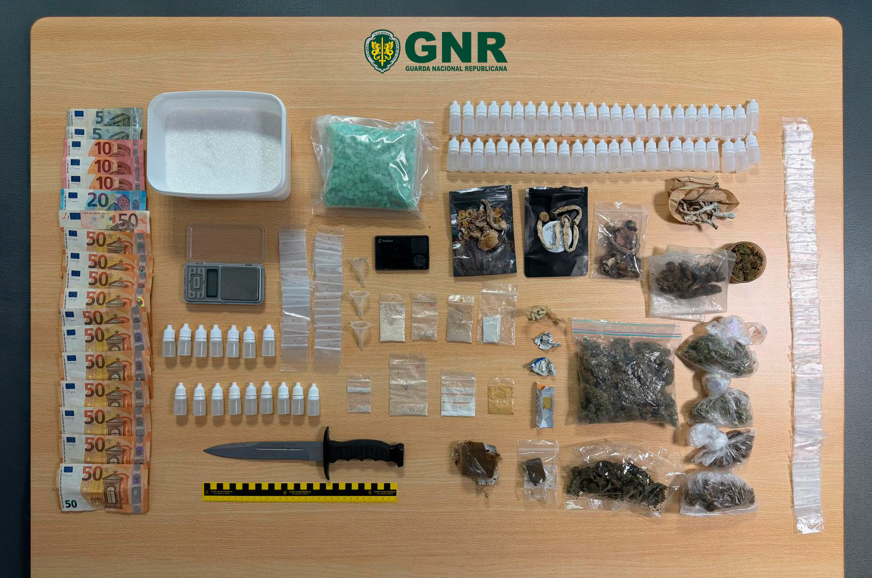 Castelo Branco e Penamacor – 16 detidos por tráfico de estupefacientes e outros crimes