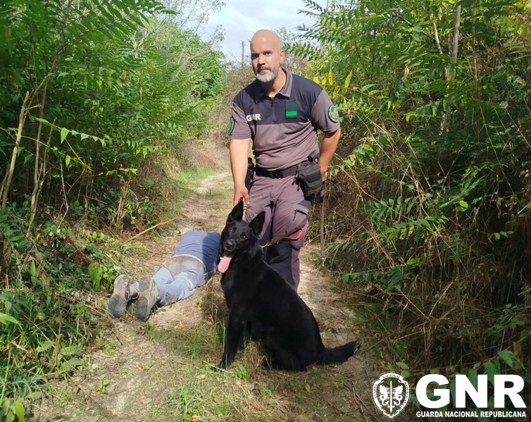 Foto de Amarante – Binómio localiza homem de 78 anos desaparecido desde 31 de agosto