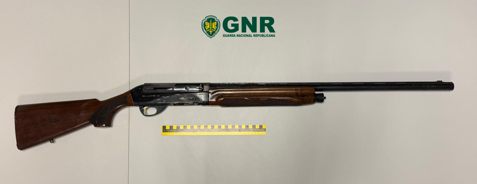 Vila Velha de Ródão – Detido por posse ilegal de arma