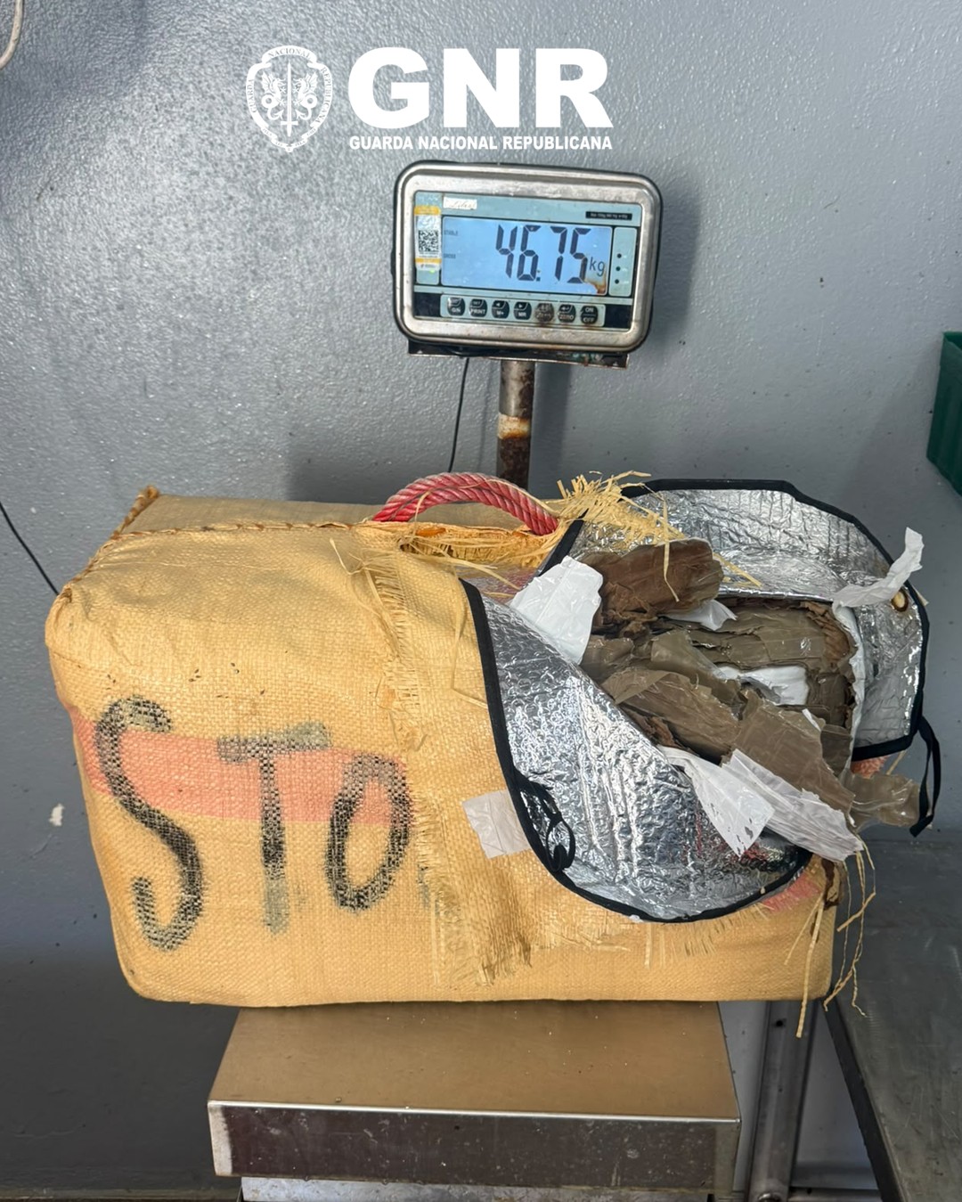 Sesimbra – GNR apreende cerca de 93 500 doses de canábis