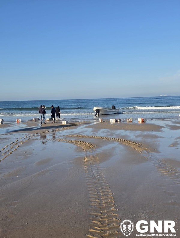 Costa Vicentina – Cerca de 4 toneladas de