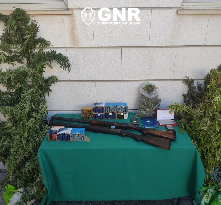 Alcobaça – Três detidos por tráfico de estupefacientes e posse ilegal de armas e munições 