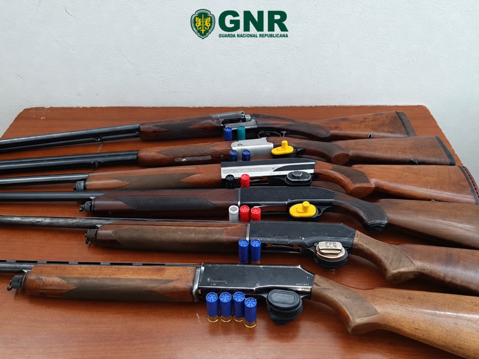 Armamar – Seis detidos por caça em áreas de proteção