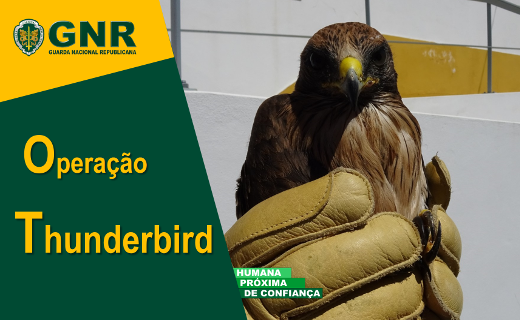 Foto de Operação "Thunderbird" Proteção de espécies da vida selvagem