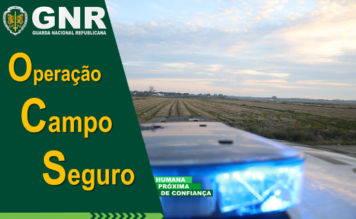 Foto de Operação Campo Seguro - Resultados